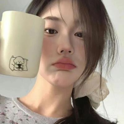 总统的夫人